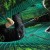 Une journée dans les arbres avec Azinat.com
