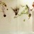 Nouvelle exposition au Carla Bayle