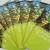 Pays d’art et d’histoire : demandez le programme !