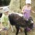 Il s’appelle Alo et pèse 11 kilos.