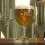 Le Grand Bison, la brasserie artisanale du Pays d’Olmes