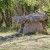 Les Dolmens du Mas d’Azil