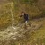 Trail et Marche du Maquis : deux jours, deux temps forts.