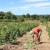 Franchir le cap et vivre à la campagne