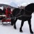 Franc succès de la première édition : « Mérens cheval des neiges » à Beille
