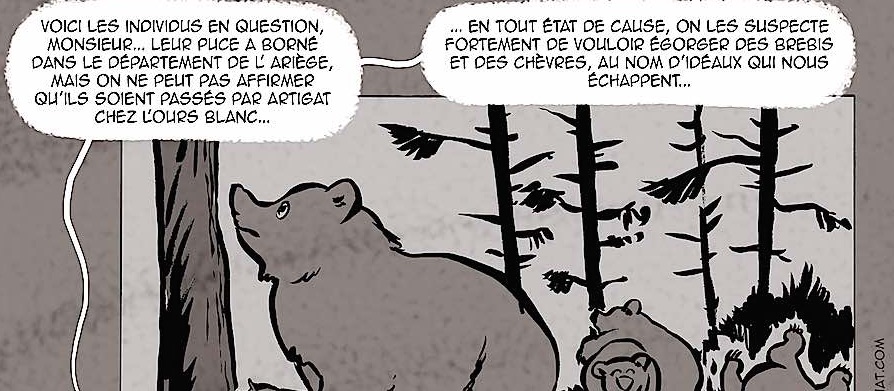 Ariège, 1 ourse, 3 oursons et 10 djihadistes ?
