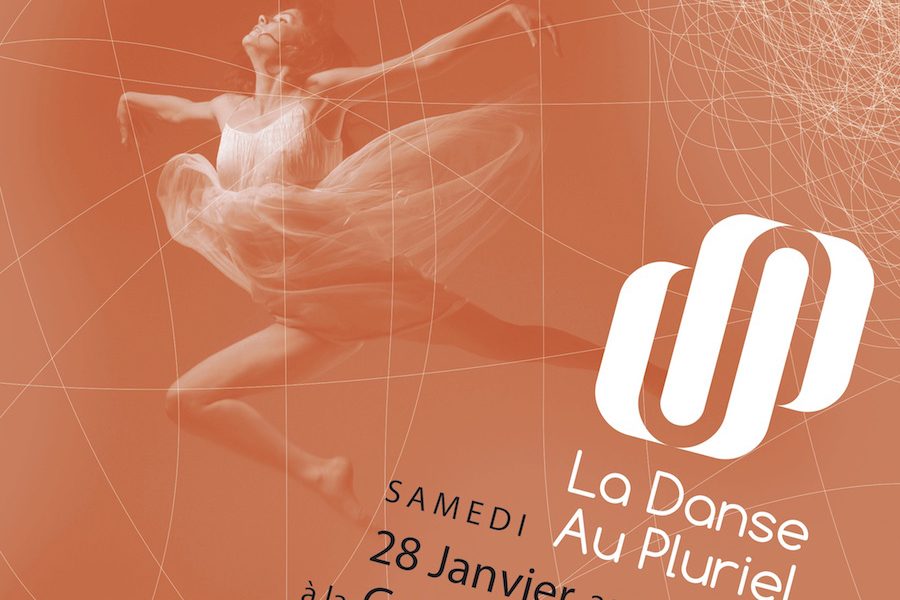9 écoles ariégeoises et 118 élèves pour danser à Lavelanet – 28 janvier