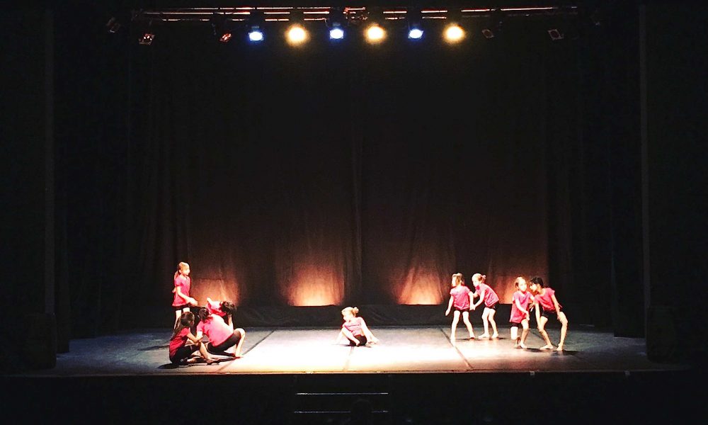 Une ovation pour les 120 danseurs et les 9 écoles de La danse au pluriel