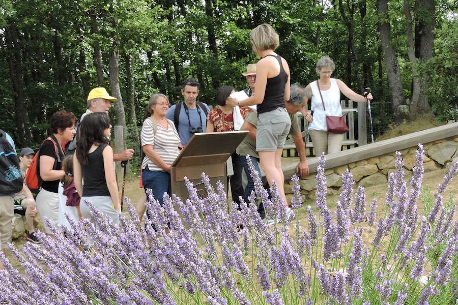 Teilhet : Visite de l’ancienne nécropole de Tabariane dans le cadre des fêtes aromatiques – 27 mai
