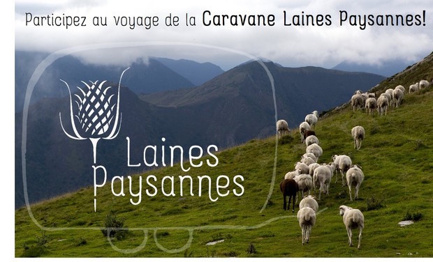 Laines Paysannes : valoriser les laines locales tout en soutenant l’agriculture paysanne