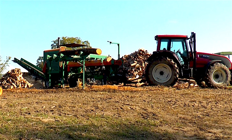 Bois Paysan Distribution, la valorisation du bois ariégeois !