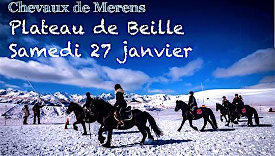 Le cheval de Mérens fait son show au plateau de Beille – 27 janvier