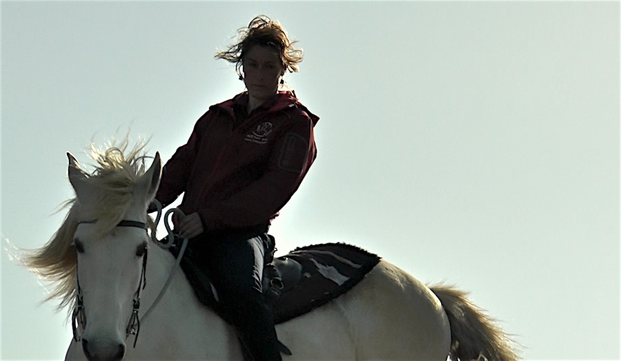 ACE Paint Horse, pour découvrir le cheval autrement