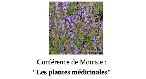 Rivel : Conférence de Moutsie « Les plantes médicinales » – 20 avril