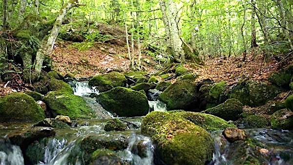 Ax-les-Thermes : Balade-découverte de la « Boucle Bleue » – 6 septembre