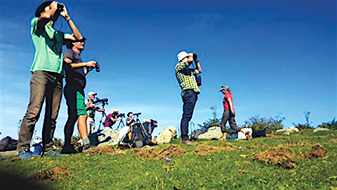 Col de Larnat : La migration post-nuptiale des oiseaux – 15 & 16 septembre