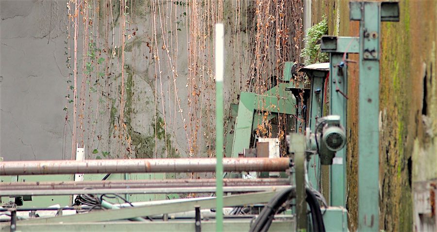 Laroque d’Olmes : Nature en friche – 14 octobre