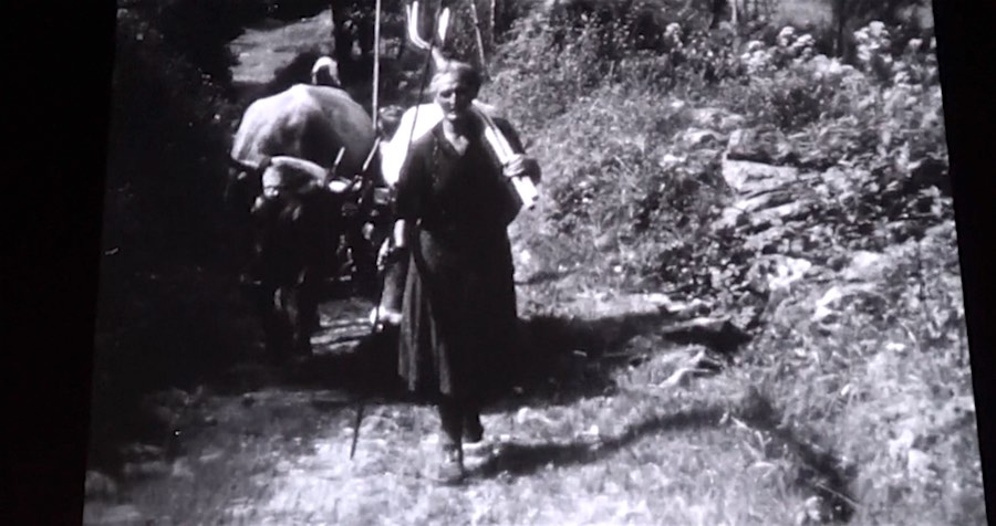 Lavelanet : Une semaine – Un film «La vie rurale dans un village des Pyrénées»  – 12 octobre